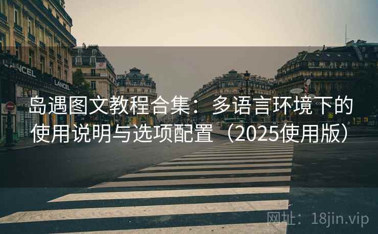 岛遇图文教程合集：多语言环境下的使用说明与选项配置（2025使用版）