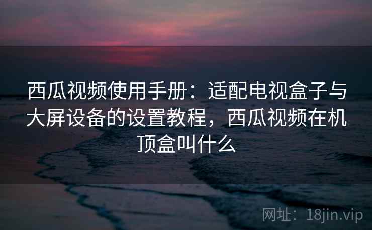 西瓜视频使用手册：适配电视盒子与大屏设备的设置教程，西瓜视频在机顶盒叫什么