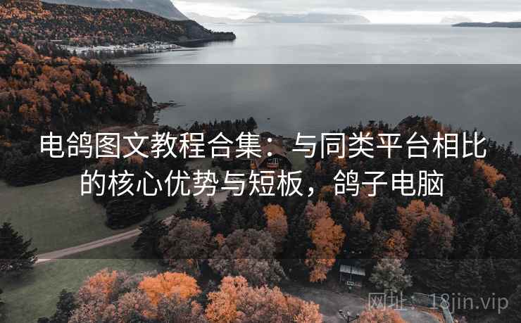 电鸽图文教程合集：与同类平台相比的核心优势与短板，鸽子电脑