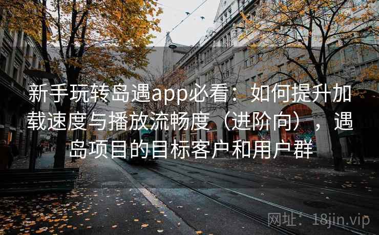 新手玩转岛遇app必看：如何提升加载速度与播放流畅度（进阶向），遇岛项目的目标客户和用户群