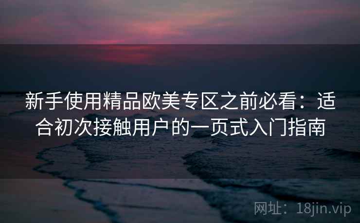 新手使用精品欧美专区之前必看：适合初次接触用户的一页式入门指南