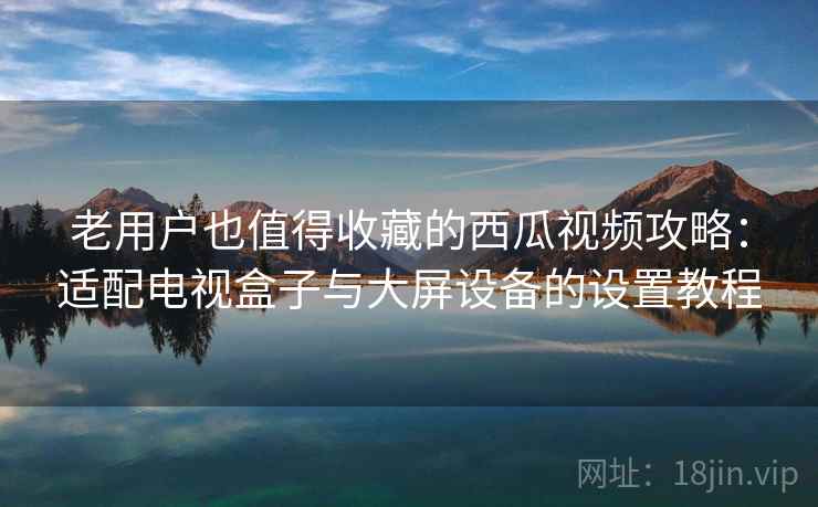 老用户也值得收藏的西瓜视频攻略：适配电视盒子与大屏设备的设置教程