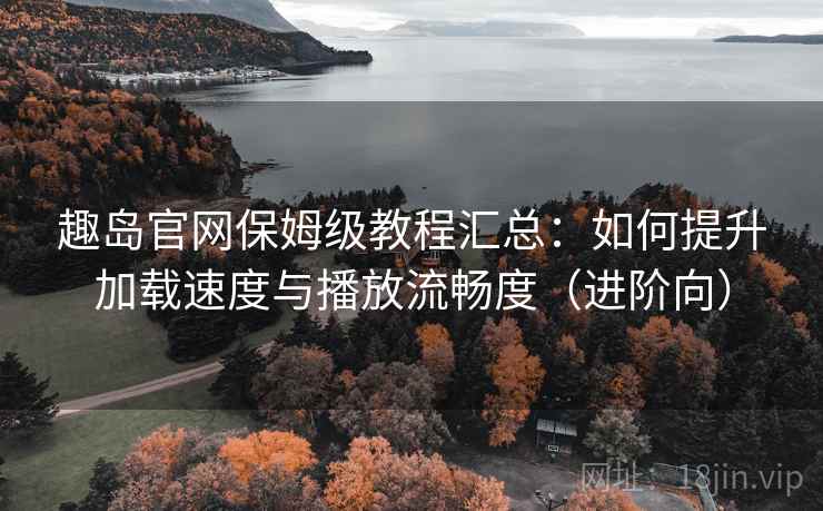 趣岛官网保姆级教程汇总：如何提升加载速度与播放流畅度（进阶向）