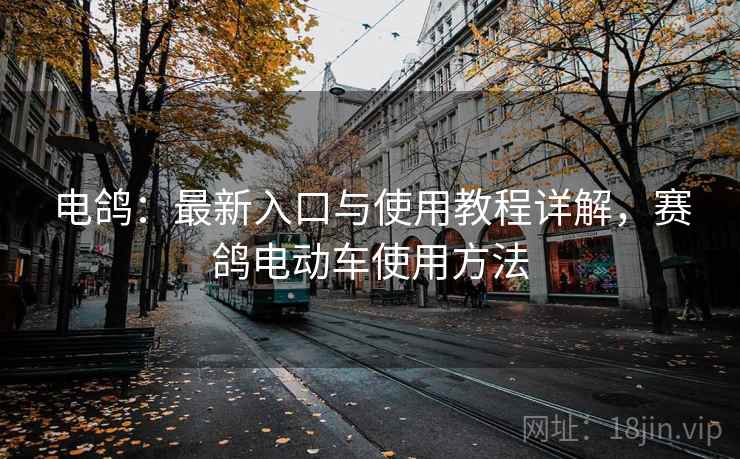 电鸽：最新入口与使用教程详解，赛鸽电动车使用方法
