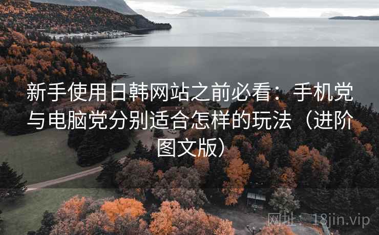 新手使用日韩网站之前必看：手机党与电脑党分别适合怎样的玩法（进阶图文版）