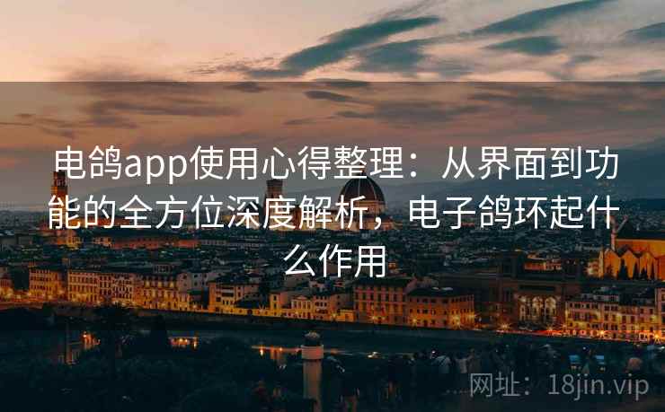 电鸽app使用心得整理：从界面到功能的全方位深度解析，电子鸽环起什么作用