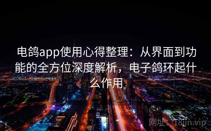 电鸽app使用心得整理：从界面到功能的全方位深度解析，电子鸽环起什么作用