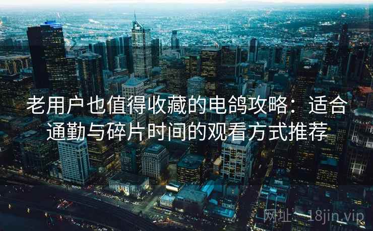 老用户也值得收藏的电鸽攻略:适合通勤与碎片时间的观看方式推荐 老用户也值得收藏的电鸽攻略:适合通勤与碎片时间的观看方式推荐