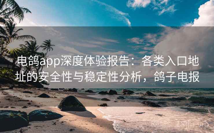 电鸽app深度体验报告：各类入口地址的安全性与稳定性分析，鸽子电报