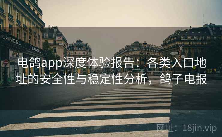 电鸽app深度体验报告:各类入口地址的安全性与稳定性分析,鸽子电报 电鸽app深度体验报告:各类入口地址的安全性与稳定性分析,鸽子电报