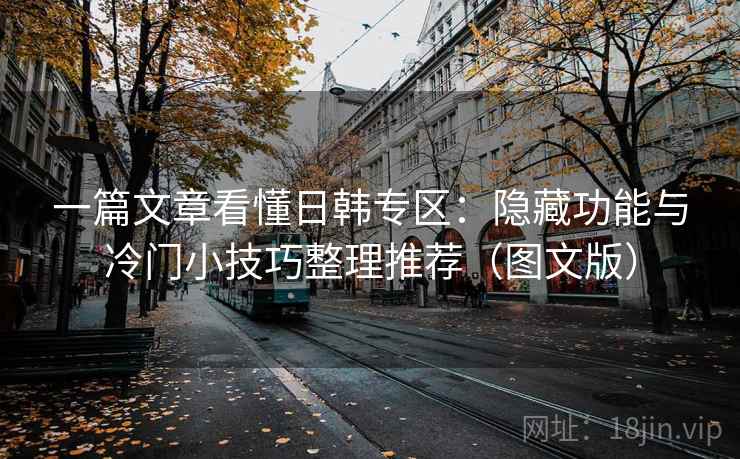 一篇文章看懂日韩专区:隐藏功能与冷门小技巧整理推荐(图文版) 一篇文章看懂日韩专区:隐藏功能与冷门小技巧整理推荐(图文版)