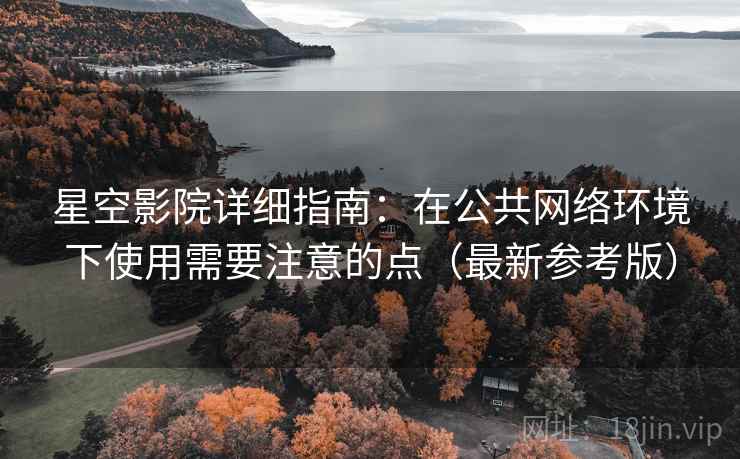 星空影院详细指南：在公共网络环境下使用需要注意的点（最新参考版）
