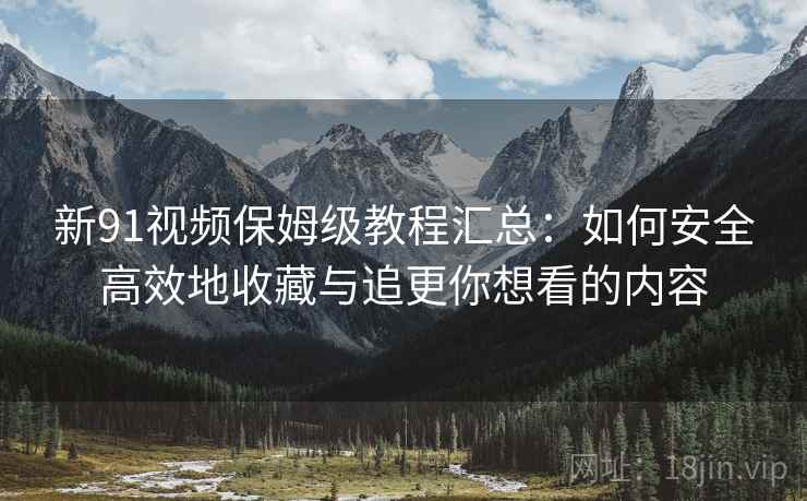 新91视频保姆级教程汇总：如何安全高效地收藏与追更你想看的内容