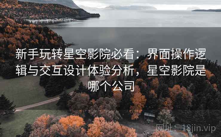 新手玩转星空影院必看：界面操作逻辑与交互设计体验分析，星空影院是哪个公司
