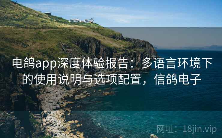 电鸽app深度体验报告:多语言环境下的使用说明与选项配置,信鸽电子 电鸽app深度体验报告:多语言环境下的使用说明与选项配置,信鸽电子