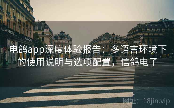 电鸽app深度体验报告：多语言环境下的使用说明与选项配置，信鸽电子
